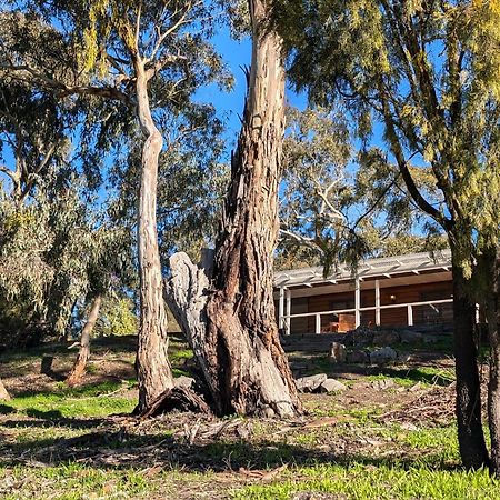 Skillogalee Estate Penwortham Bagian luar foto