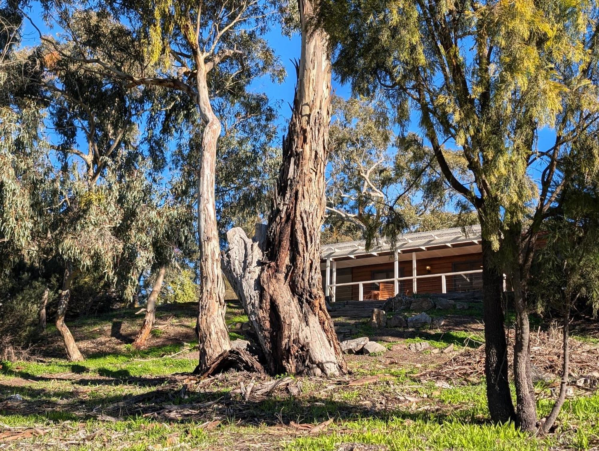 Skillogalee Estate Penwortham Bagian luar foto